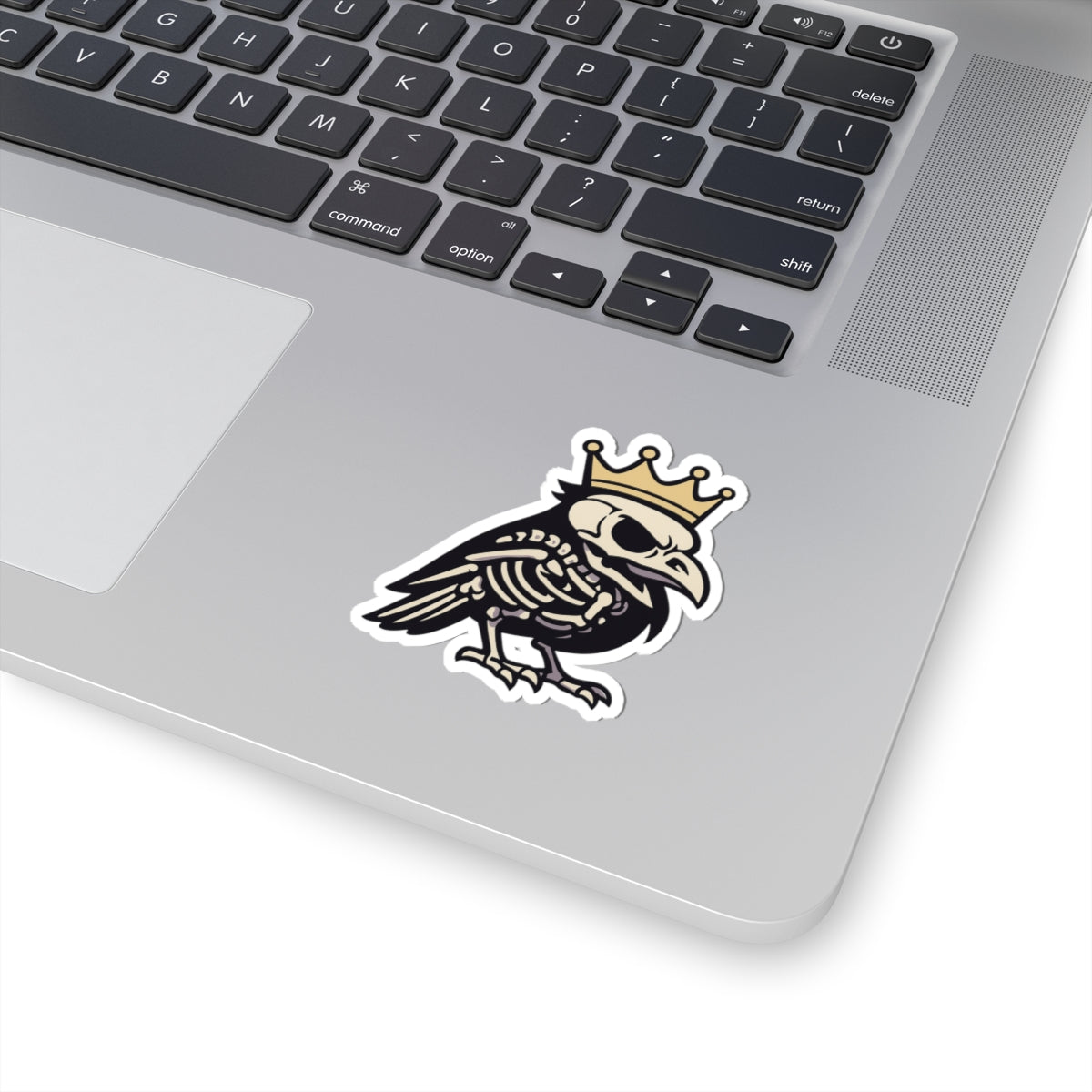 T Byrd X-Ray Sticker